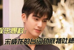 娱乐大爆料宋威龙,揭秘明星背后的故事